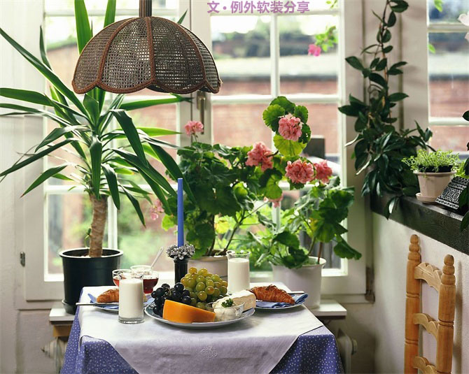 家里植物這樣擺，打造”另類“居室（一）