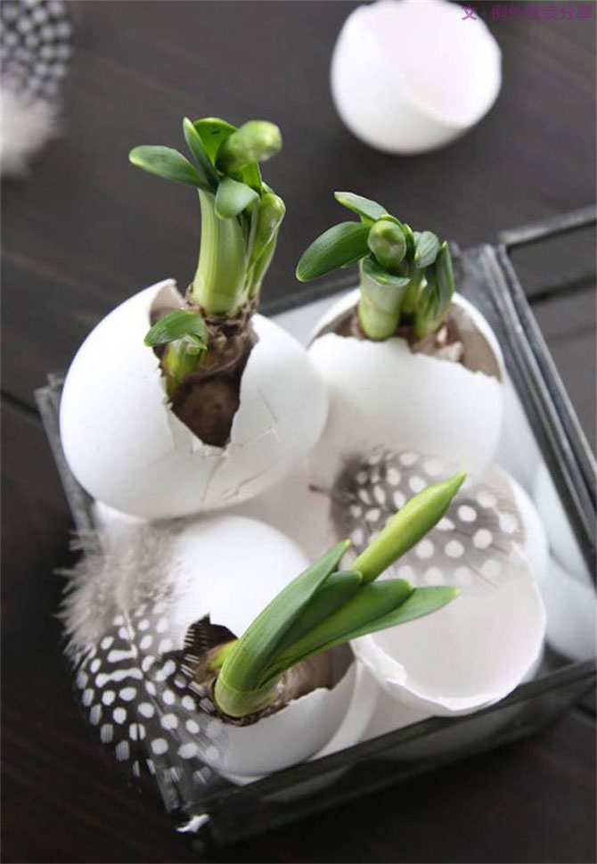 “她”不小心打碎了雞蛋，結(jié)果美翻了整個(gè)家！-別墅設(shè)計(jì),軟裝設(shè)計(jì),室內(nèi)設(shè)計(jì),豪宅設(shè)計(jì),深圳例外軟裝設(shè)計(jì)公司