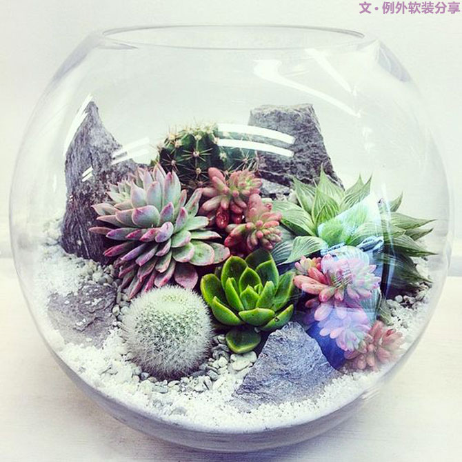 地球人都得了一種，看見“她”就想抱回家養(yǎng)的病！-別墅設(shè)計(jì),軟裝設(shè)計(jì),室內(nèi)設(shè)計(jì),豪宅設(shè)計(jì),深圳例外軟裝設(shè)計(jì)公司