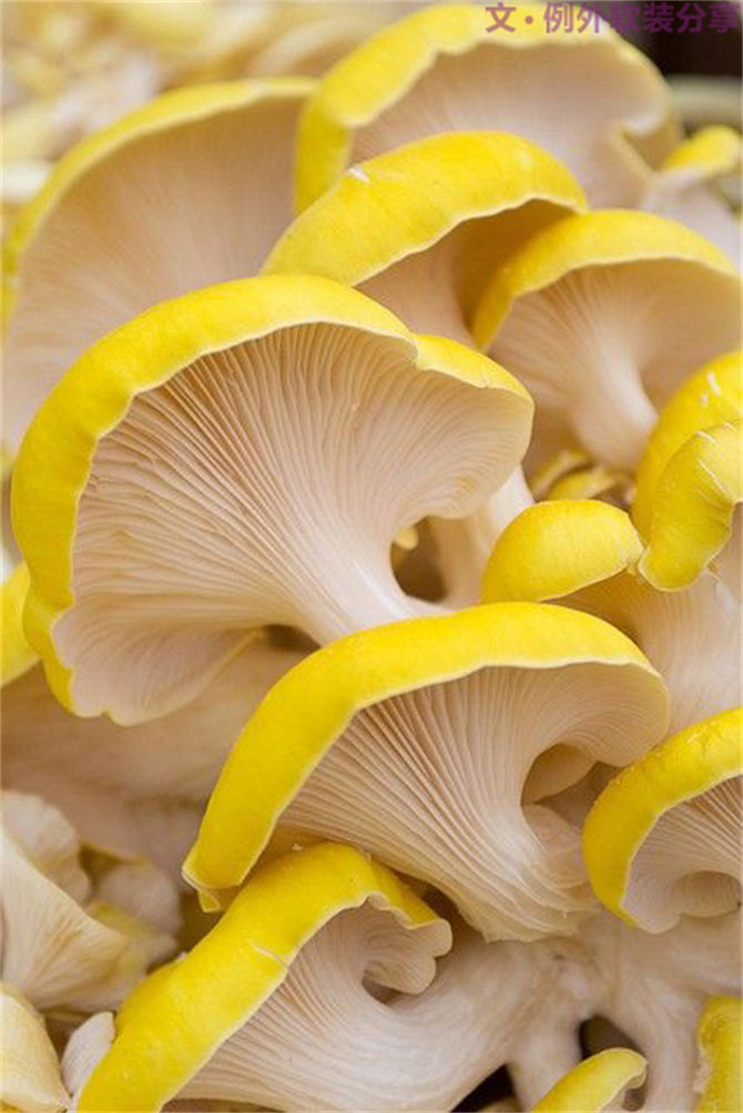 深圳又雙叒叕要入冬了，這次成功登陸？-別墅設計,軟裝設計,室內(nèi)設計,豪宅設計,深圳例外軟裝設計公司