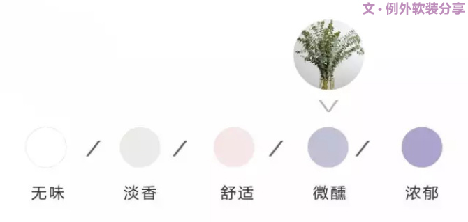 【例外.花箋記】尤加利，花藝界的百搭神葉-別墅設(shè)計(jì),軟裝設(shè)計(jì),室內(nèi)設(shè)計(jì),豪宅設(shè)計(jì),深圳例外軟裝設(shè)計(jì)公司